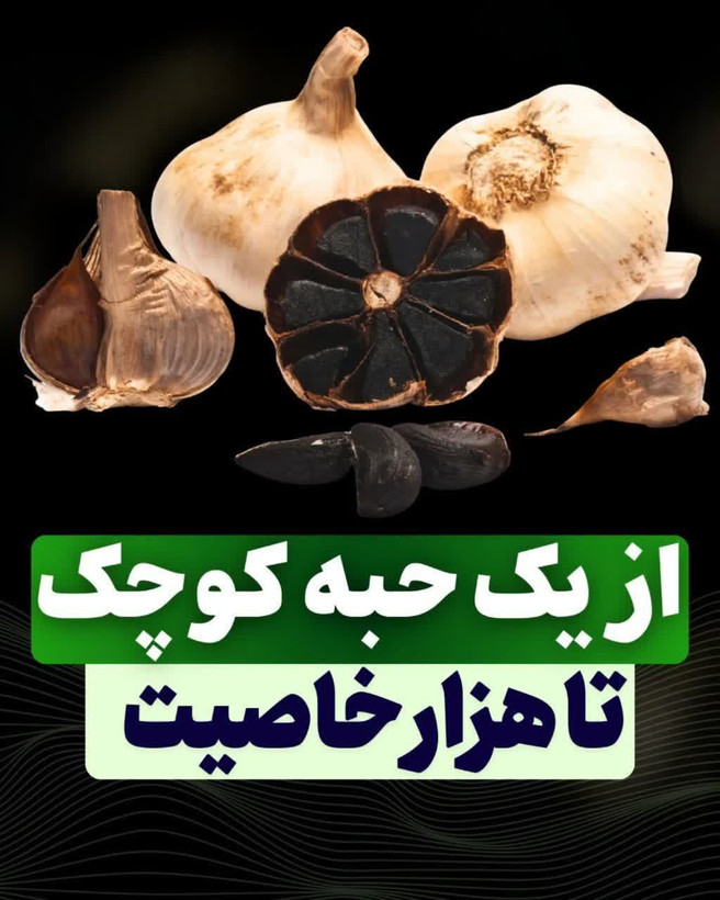 سیرسیاه ژاپنی تخمیری دکتر بیز | خاصیت درمانی و تقویت قوای جنسی و رفع زودانزالی