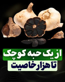 پک دو عددی تخمیری سیر سیاه شده برند دکتربیز برای کاهش وزن صورت و بدن